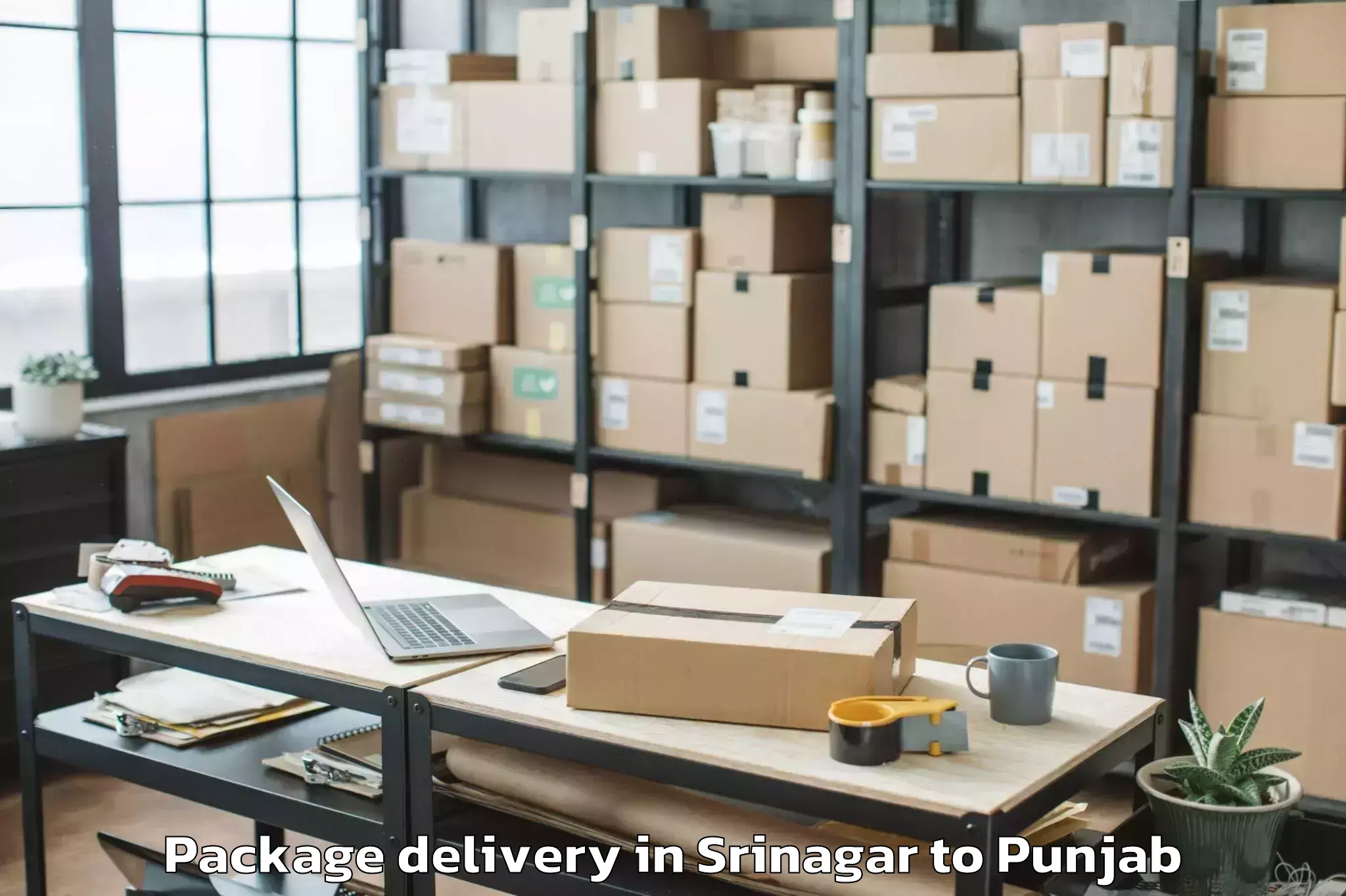 Book Srinagar to Ludhiana Package Delivery Online